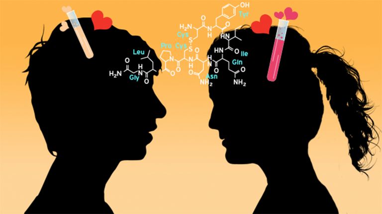 Liebe ist Biochemie