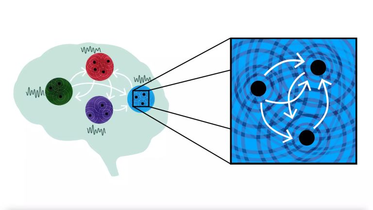 Schematische Darstellung des „Harmonic Oscillator Recurrent Network-Modells“ (HORN).